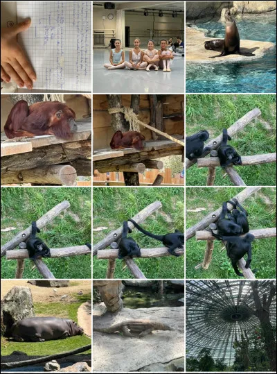 Quelle image préfères-tu ?