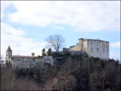 Je vous emmène à présent à la découverte du château de Prat-Bonrepaux. Village de l'arrondissement de Saint-Girons, traversé par le Salat, il se situe dans le département ...