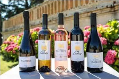 Durant la Renaissance, quelle ville fait florès grâce à ses coteaux pour vendre son vin ?