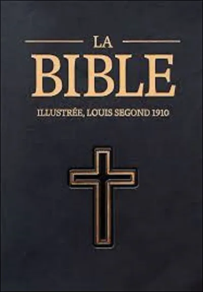 Un clivage apparait au début du XVIe siècle entre Albi et une commune après l'apparition de l'imprimerie. Les évêques d'Albi contrôlent la production de livres et les libraires ne diffusent que des ouvrages destinés à «l'usage des bons chrétiens ». Dans l'autre au contraire, des prédicateurs encouragent la lecture des textes bibliques en important de Genève des Bibles. Quelle est cette ville ?