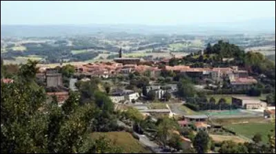 Mon code Insee est le : (Photo : vue du village de Lautrec).