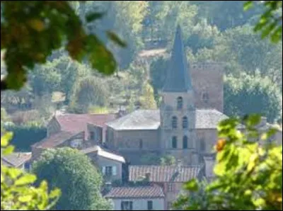 Quel gentilé portent les habitants de mon département ? (Photo : vue du village de Salles).