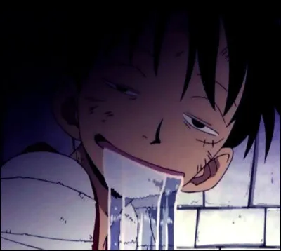 Qu'est-ce que Luffy veut devenir ?