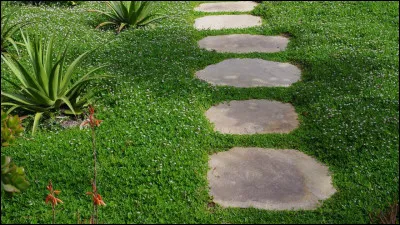 Km 32,5 ! Côte de Villy-en-Auxois. Au croisement entre l'ancienne voie romaine Alesia-Sombernon et la route de Villy-en-Auxois à Charencey, on trouve des bornes milliaires. Qu'est-ce ?