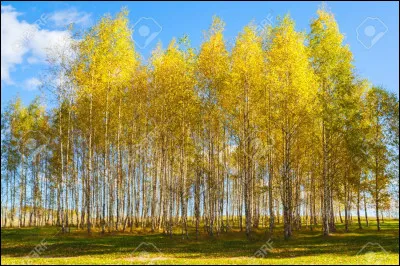 Nos "............" heureux, "........." de pêche en Patagonie