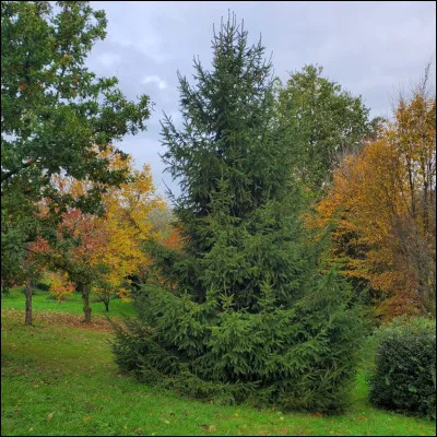 La clé de "............", La prison de "............."