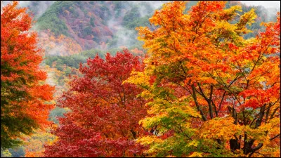 Dupont la ".........", La Cité de la ".........."