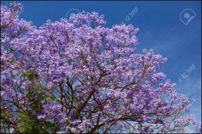 ".............." elle, "........." un garçon