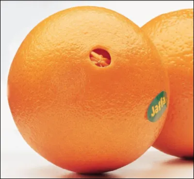 Quelle est cette variété en O, un agrume sans pépins au goût délicieux