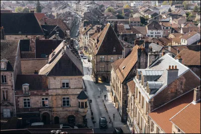 Quelle est cette ville de 6 600 habitants, située dans le nord du département aux portes du massif vosgien et connue pour ses thermes ?