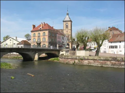 Quelle est cette petite ville de 3 000 habitants du nord du département, connue comme "Cité du meuble" en raison d'une importante industrie de transformation du bois ?