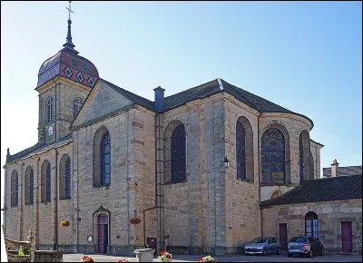 Quel est cette petite ville de 3 000 habitants, située dans le nord-est du département en bordure du massif vosgien, connue pour son kirsch et ses cerises ?