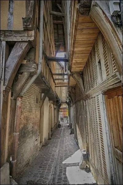 Dans quelle ville trouve-t-on la "rue des chats" ?