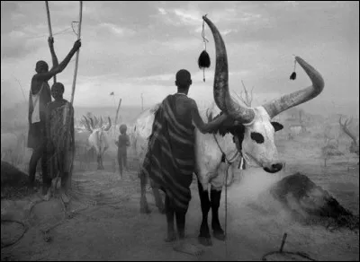 Qui réalise des clichés sur les pays d'Amérique du sud le plus souvent ?