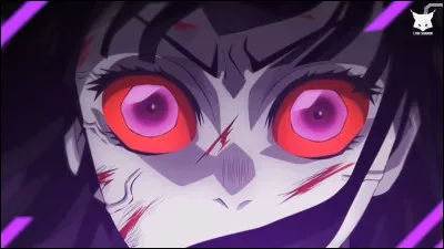 Elle a perdu la vue des deux yeux après le combat contre Doma.