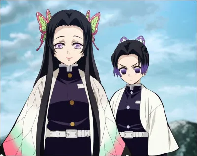 C'est la sur biologique de Shinobu et Kanae.