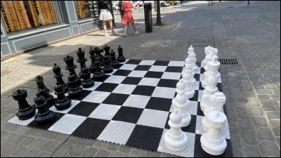 C'est le couple "jeu" et "surface"