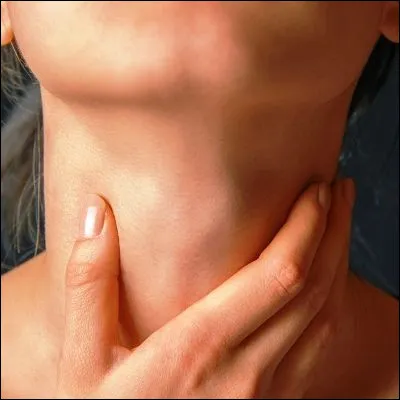 Quelle confiserie originaire de lEmpire ottoman doit son nom à une expression signifiant "repos de la gorge" ?