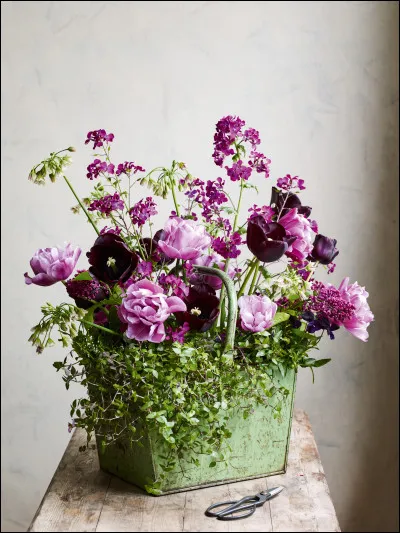 Quelle est la Porsche la plus achetée entre ces deux modèles ?