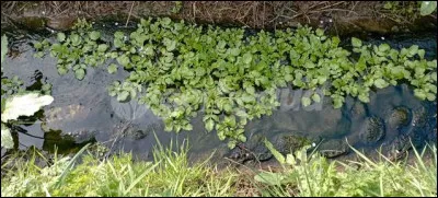 Km 61,5 : Fontaine. Quelle rivière traverse Fontaine ?