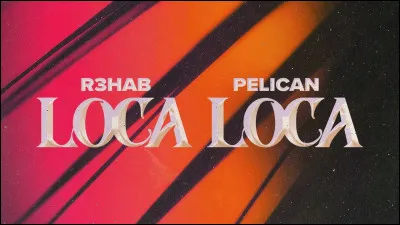 Que chante R3HAB et Pelican ?