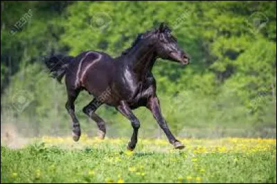 Il y a trois mots à trouver cette fois : 
"Des ... ... dans le ..."