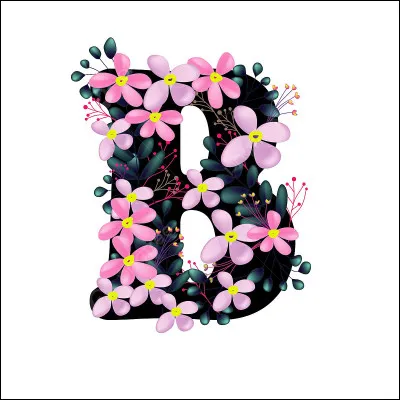 Même question pour les garçons en tant qu'humains. Comment veux-tu t'appeler ?