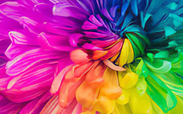 Quiz Couleurs