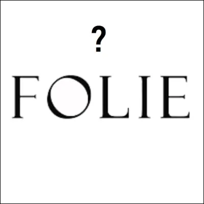 Qu'est-ce qu'une ''folie'' lorsqu'il ne s'agit pas du trouble mental ?