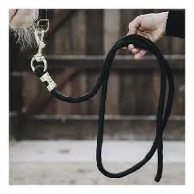 Comment dois-je tenir la longe ?