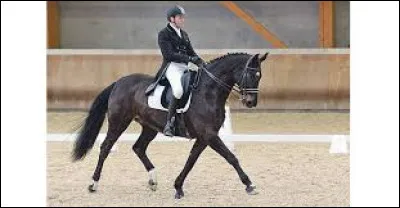 Une diagonale se commence :