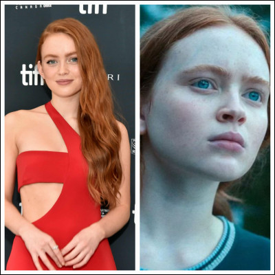 Qui interprète Max ?