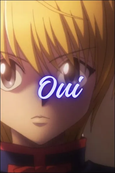 Est-ce que Kurapika est un Hunter ?