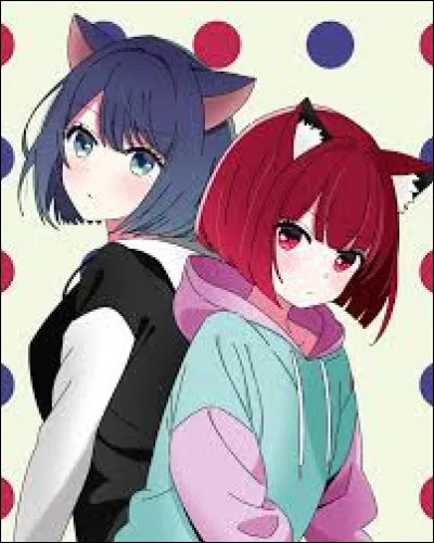 Laquelle s'est lancée dans une carrière didole ?