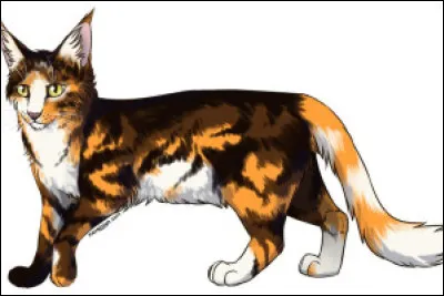 Plume Rousse, mon compagnon, prend soin de notre fille.