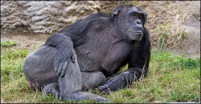 Cette personnalité a dédié sa vie à leur protection !