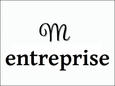 Que fabrique l'entreprise Michelin ?