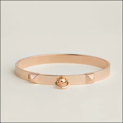 Choisis un race de chien.