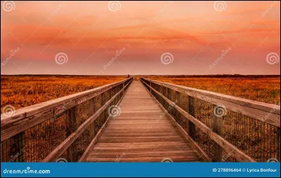 Choisis une forme de dire bonjour.