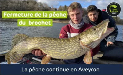 Km 32,2 : La-Marolle-en-Sologne. La commune est travers&eacute;e par le Balletan, petite rivi&egrave;re de 15,5 km, qui, du point de vue piscicole, est class&eacute;e en quelle cat&eacute;gorie ?