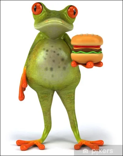 Quel est leur temps de gestation ?