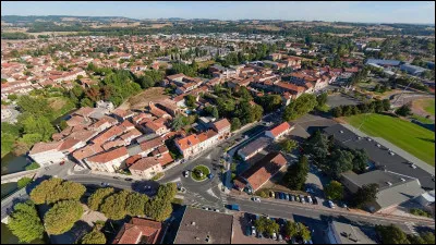 Quelle est cette ville de 13 000 habitants, arrosée par le Dadou, connue comme centre de mégisserie ?