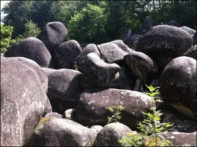 Quelle est cette petite région montagneuse située à l'est de Castres qui représente le plus grand ensemble de rochers granitiques de France ?