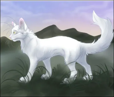 Qui est son mentor ?