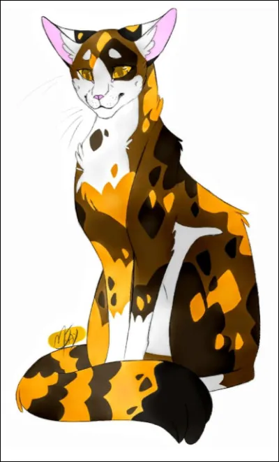 Qui est son premier apprenti ?