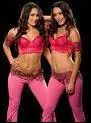 Comment s'appelle le Tag Team de Nikkie et Brie Bella ?
