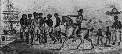 Quelle est la principale ressource économique des Etats confédérés ?