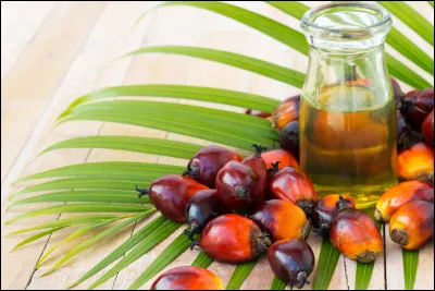 Quelle quantité d'huile de palme est produite chaque année ?