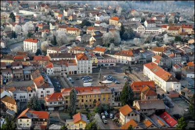 Quelle est cette petite ville 2 800 habitants, située sur un plateau entre les vallées de la Vologne et de la Mortagne ?