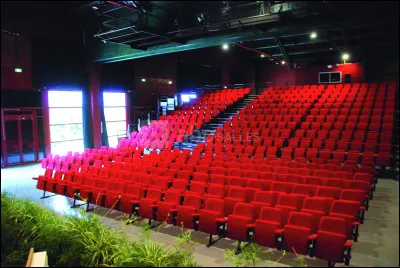 Quel festival de cinéma se tient chaque année à Gérardmer depuis 1994 ?